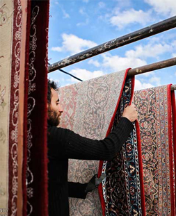 خشک کردن قالی در قالیشویی میدان گلها