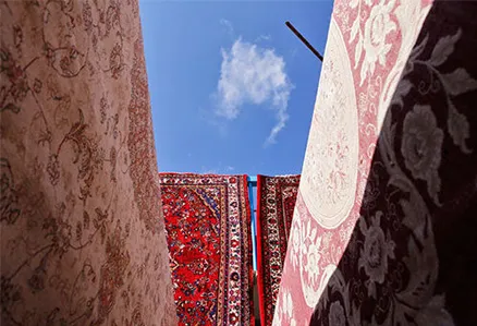 معرفی بهترین مراکز قالیشویی در میدان گلها
